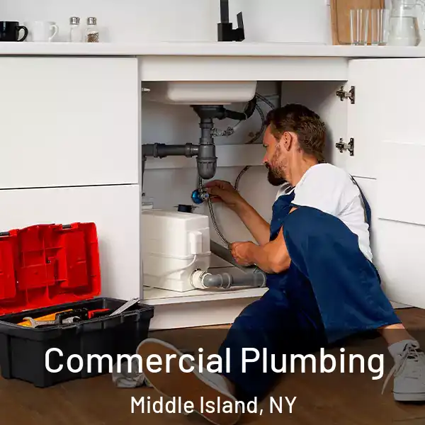  Commercial Plumbing Middle Island, NY